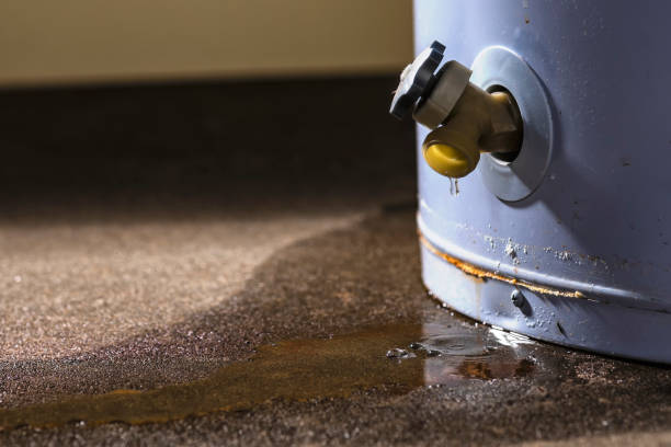  Greenbelt, MD Water damage restoration Pros