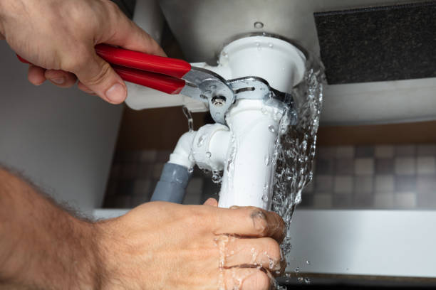 Best Flood damage cleanup  in Greenbelt, MD