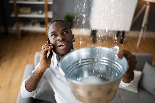 Best Flood restoration services  in Greenbelt, MD