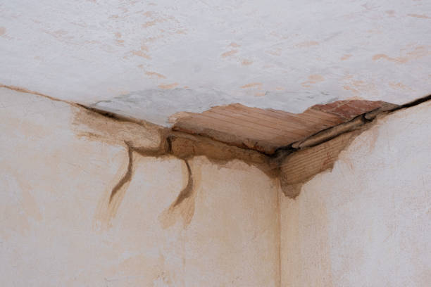 Best Water damage restoration near me  in Greenbelt, MD