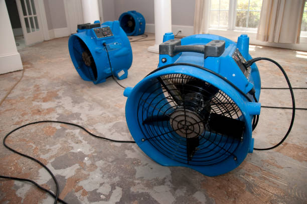 Best Carpet water damage restoration  in Greenbelt, MD
