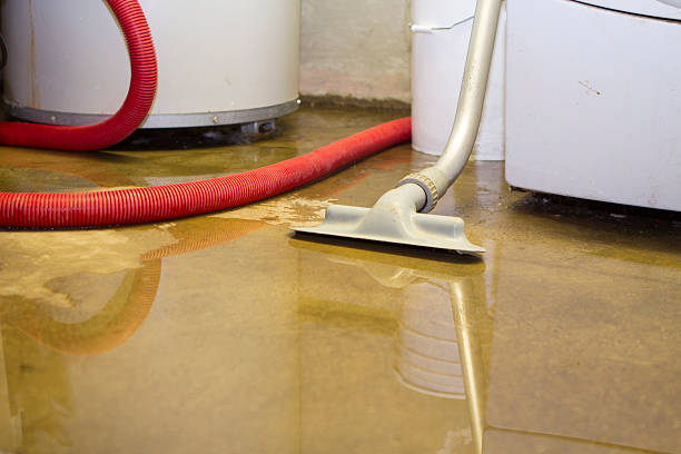 Best Water damage restoration specialists  in Greenbelt, MD