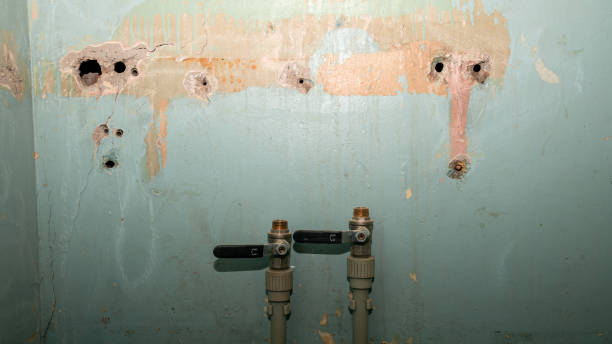 Best Professional water damage repair  in Greenbelt, MD