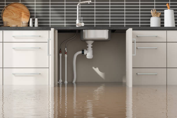 Best Flooded house restoration  in Greenbelt, MD