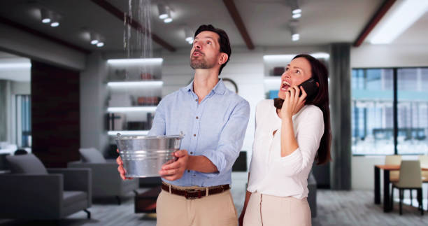 Best 24/7 water damage repair  in Greenbelt, MD