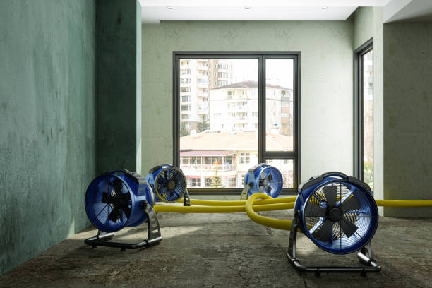 Best Water damage cleanup near me  in Greenbelt, MD